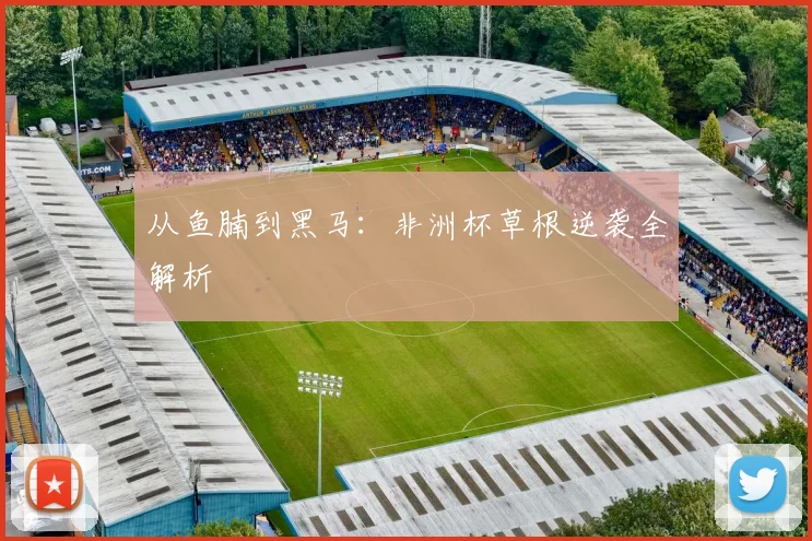 从鱼腩到黑马：非洲杯草根逆袭全解析