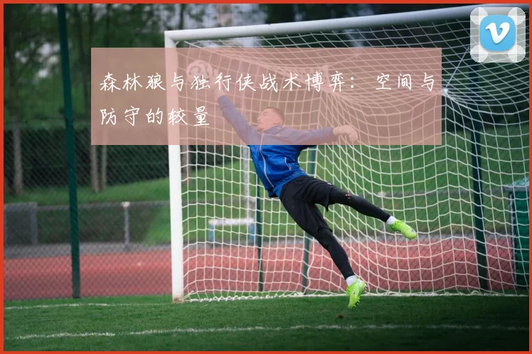 森林狼与独行侠战术博弈：空间与防守的较量